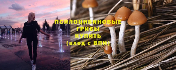 гашиш Володарск